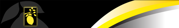 LemmonTree Marketing Group