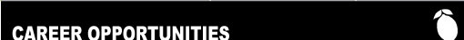 LTE Career Opportunities