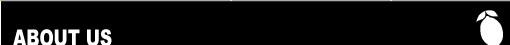 LTE Company
