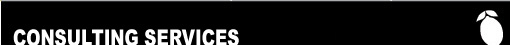 LTE: Consulting Services