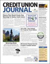 2009 Forecast Credit Union Journal