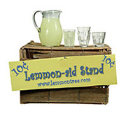 Lemmon-Air Stand
