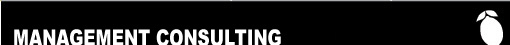 LTE: Mangement Consulting