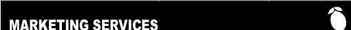 LTE Marketing Services