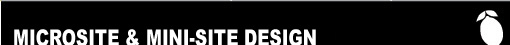 LTE: Micro & Mini-site Designs