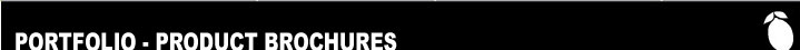 LTE: Portfolio - Brochures