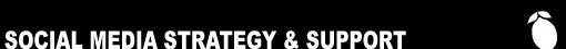 Social Media Stradegy & Support