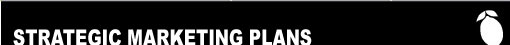 LTE Company