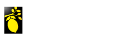 LemmonTree Marketing Logo
